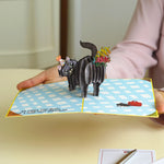 A person holds a pop-up birthday card featuring a 3D black cat with a party hat and colorful confetti. The card reads, #5 cares too much. Have a purr-fect birthday! against a light blue checkered background.