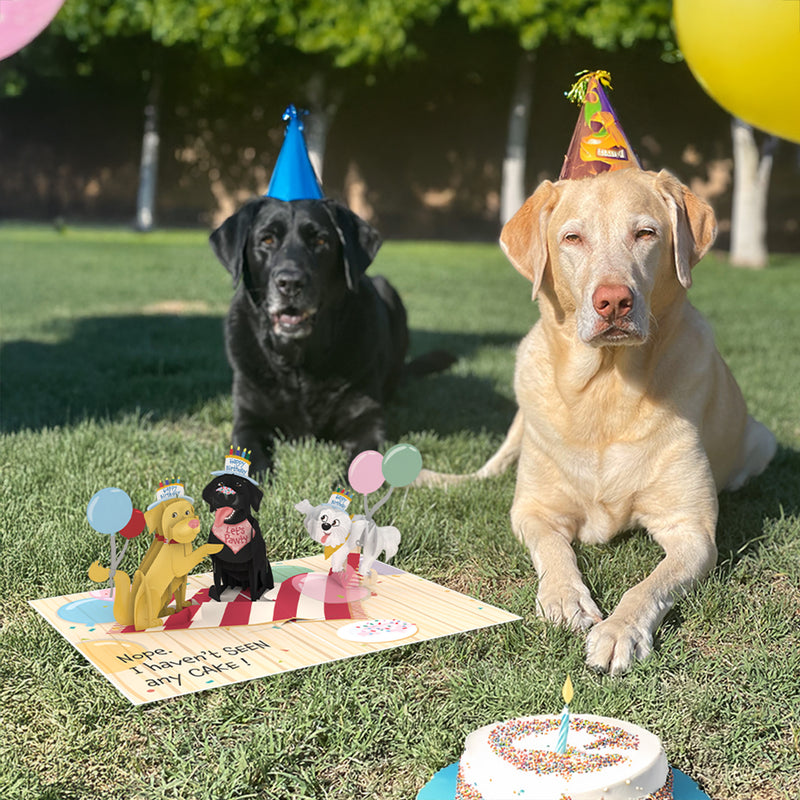 Two dogs wearing party hats sit on the grass next to a birthday cake, with a pop-up card featuring playful party dogs in front of them. Balloons float in the background, adding to the festive celebration.