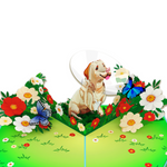 A 3D pop-up greeting card featuring a cheerful Labrador wearing a protective cone, sitting in a vibrant garden. The dog is surrounded by lush green grass, blooming red, white, and yellow flowers, and fluttering blue butterflies. The scene is bright and playful, creating a heartwarming and humorous design.