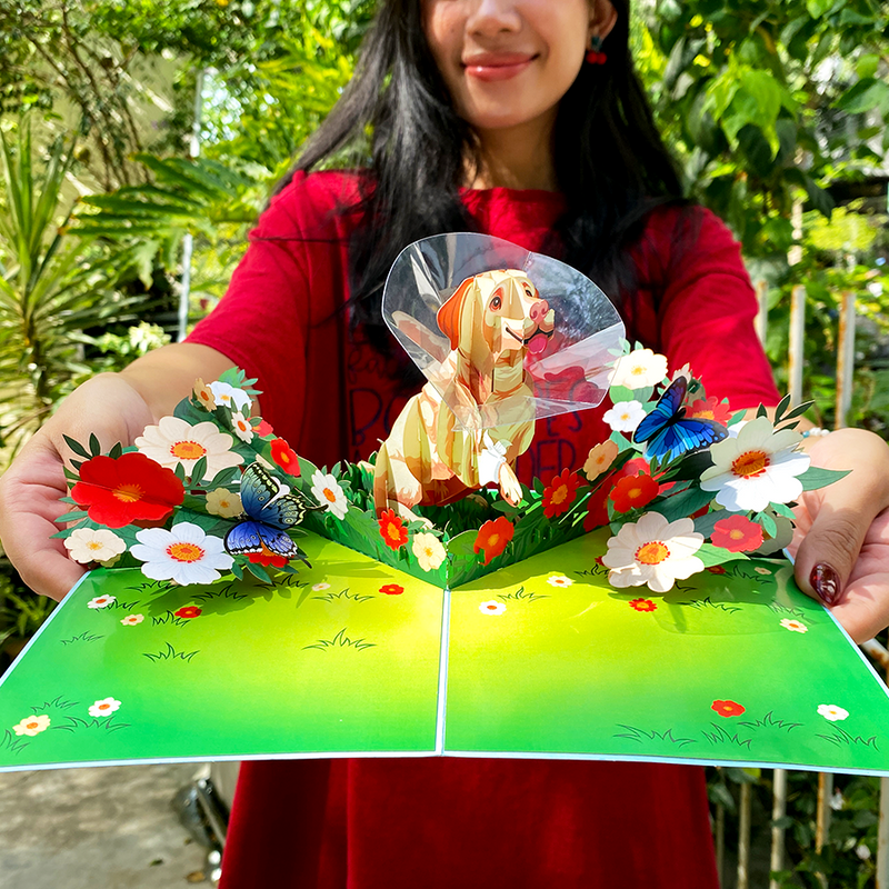 A person wearing a red shirt holds an open 3D pop-up greeting card featuring a happy Labrador wearing a protective cone. The dog sits in a colorful garden filled with vibrant red, white, and yellow flowers, along with blue butterflies. The bright outdoor setting enhances the cheerful and heartwarming design of the card