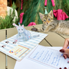 3D pop-up card featuring a grumpy cat in a party hat, a real kitten wearing a matching hat, and a handwritten birthday note on a table.